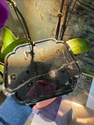 Αγορά Πλάουμ Blossom Jade Square Μαρμάρινο Δίσκο Luxury Serving Set Μινιμαλιστικό για το σπίτι online manufacture