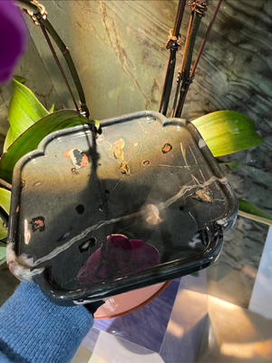 comprare Vassoio quadrato in marmo di giada con fiore di prugno, set da portata di lusso, minimalista per la casa online manufacture